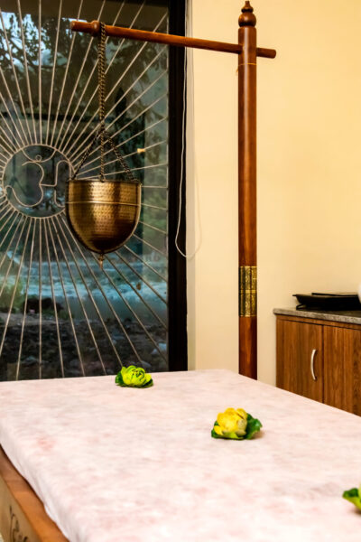 ayurvedic retreat india