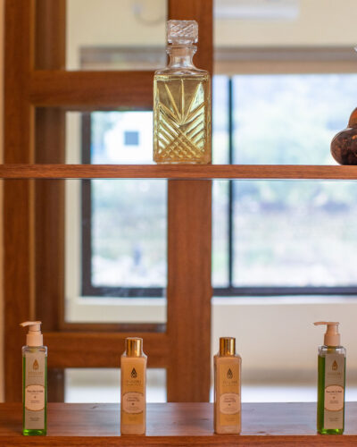 detox retreat india