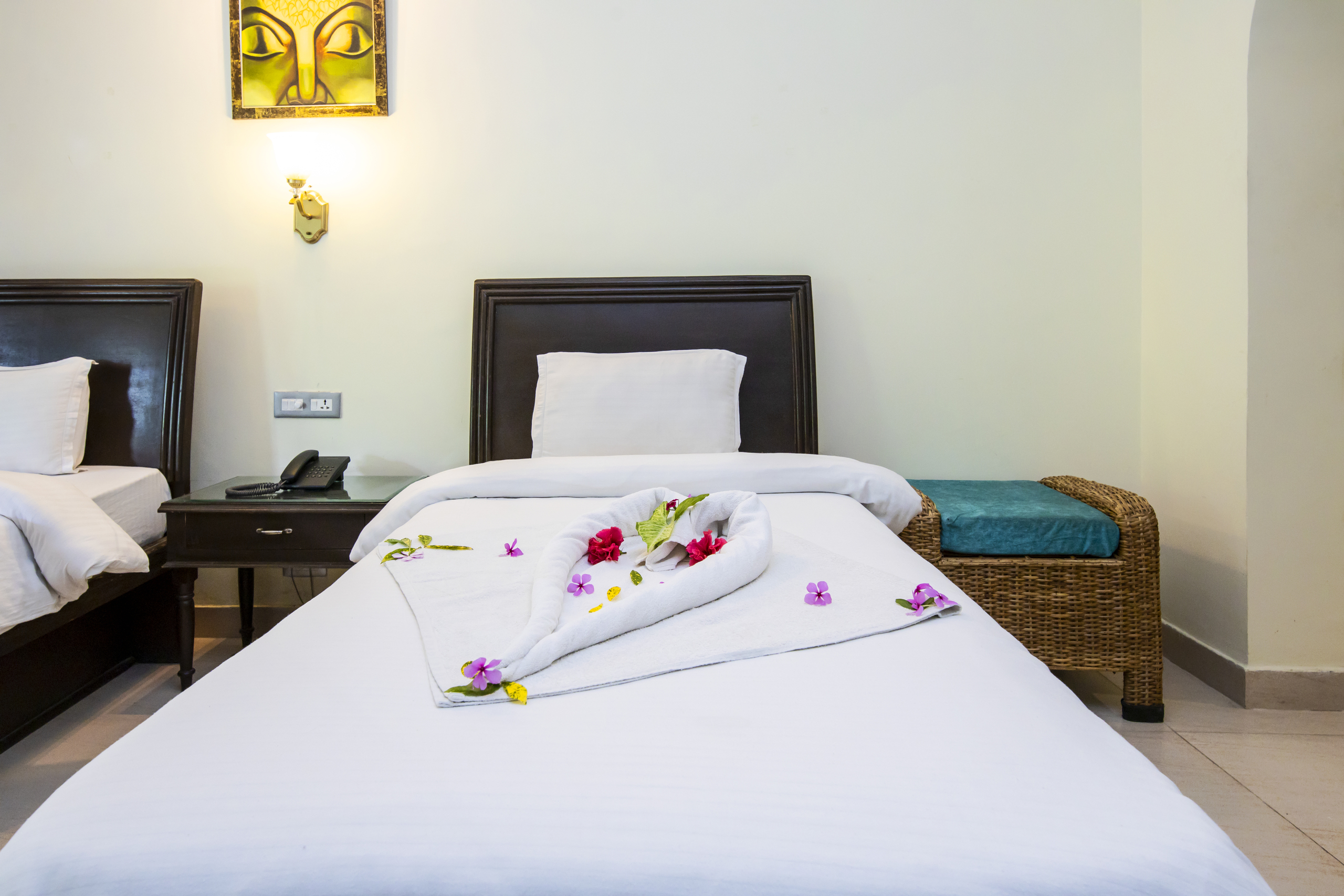 wellness retreat near Rishikesh
