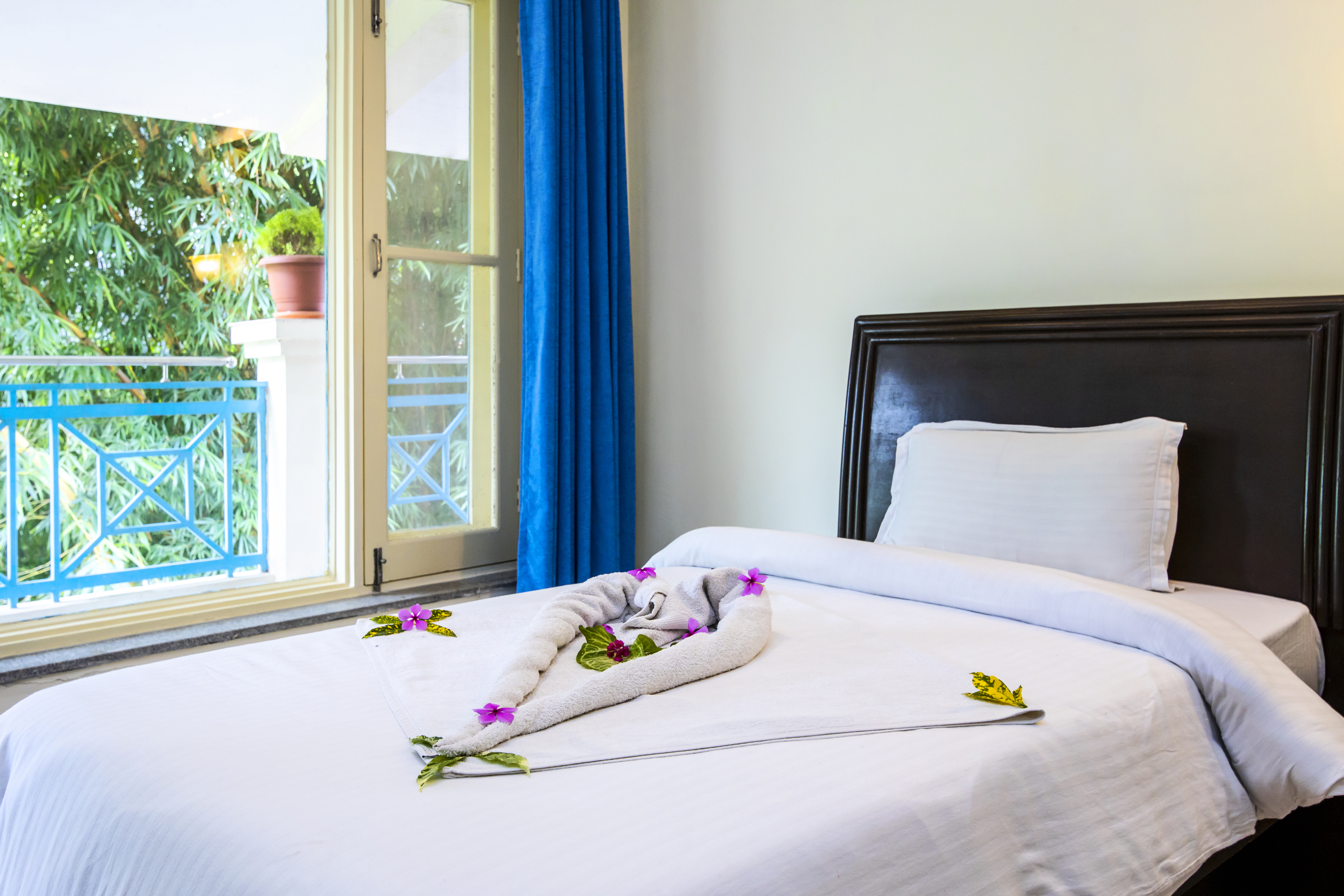 best wellness retreats in rishikesh