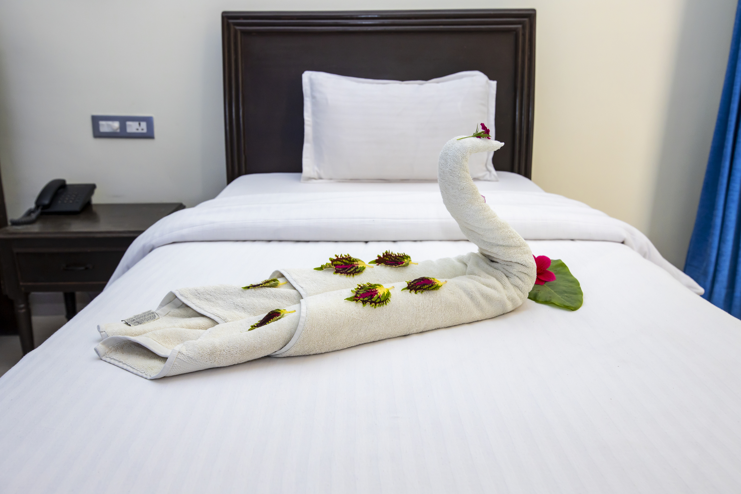 wellness retreats in rishikesh