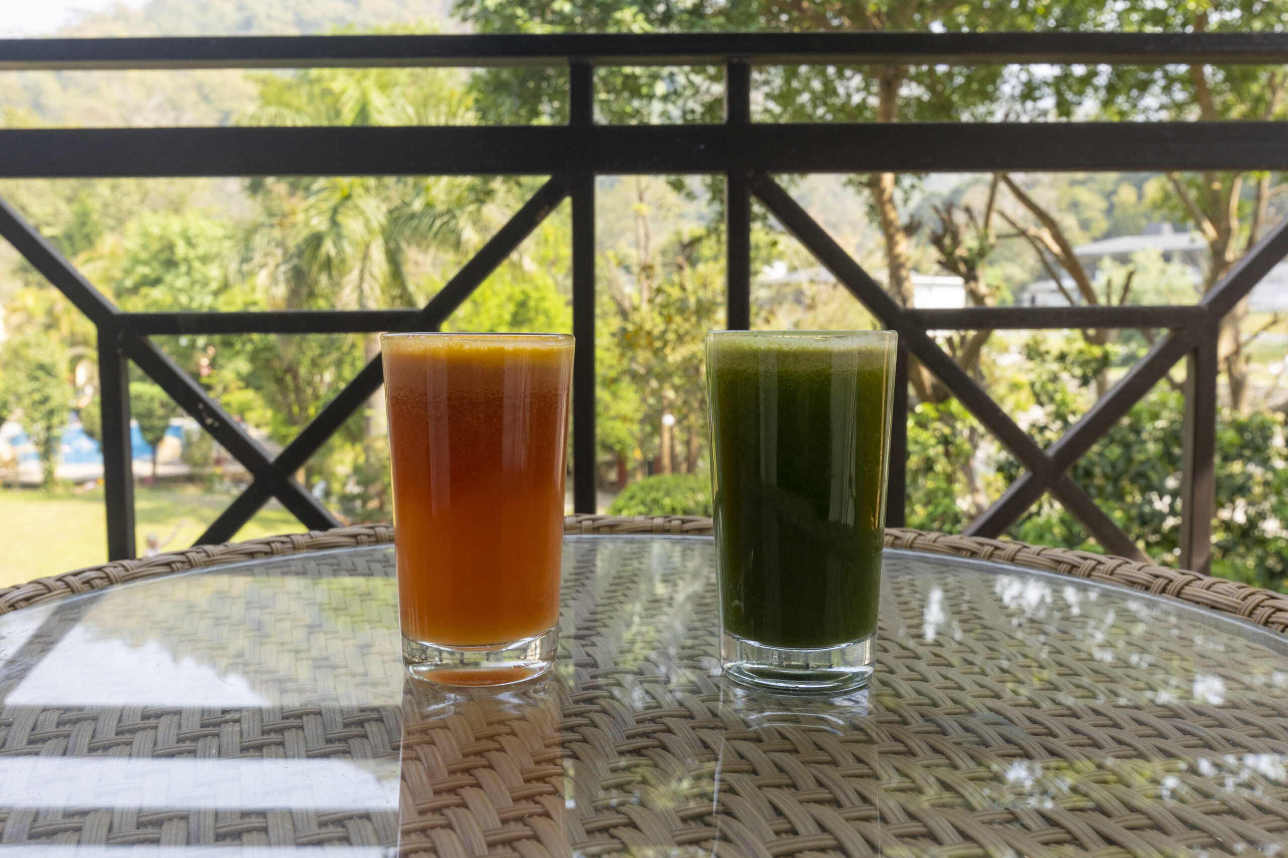 Panchkarma Treatment in Rishikesh