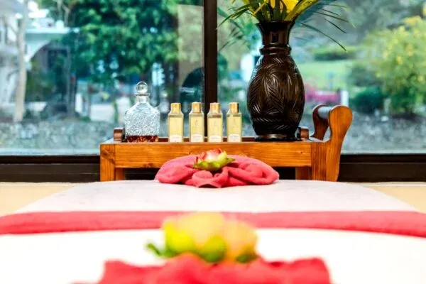 ayurvedic retreat india