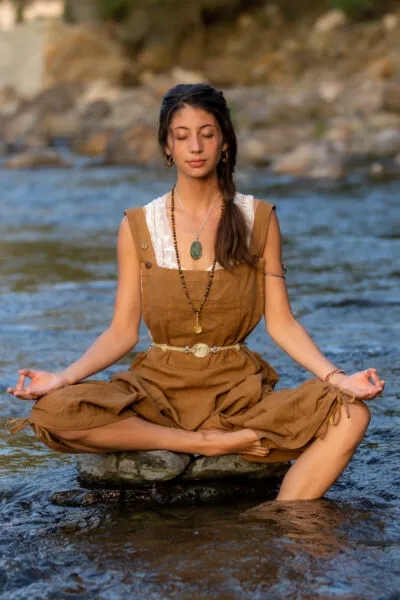 best wellness retreats in rishikesh